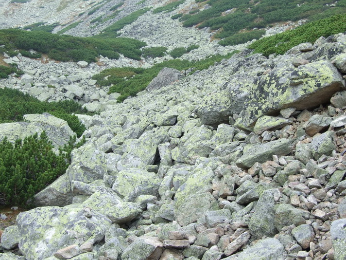 Skalnaté  pleso_29.JPG
