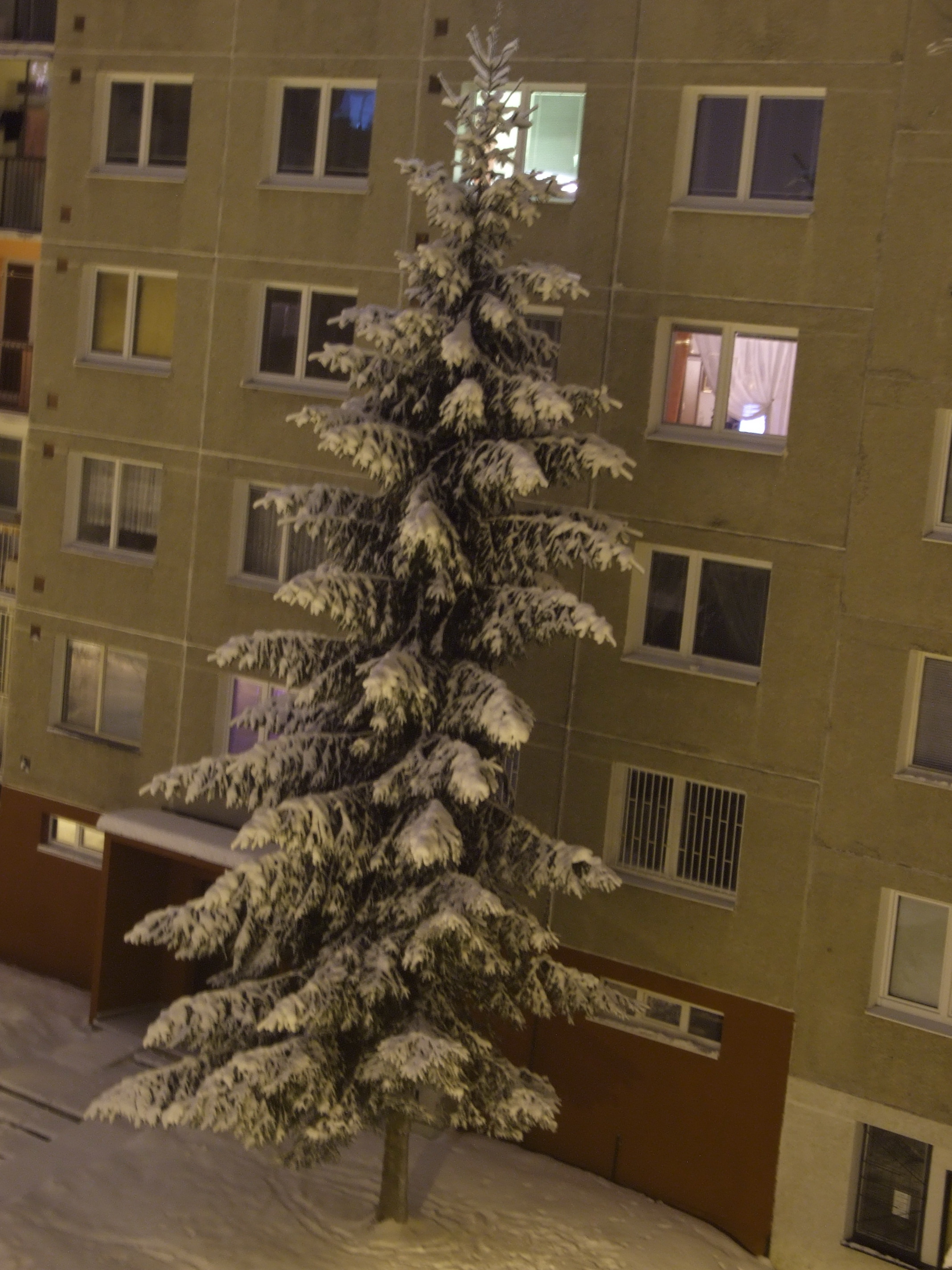 Zima  Poprad 2013_002