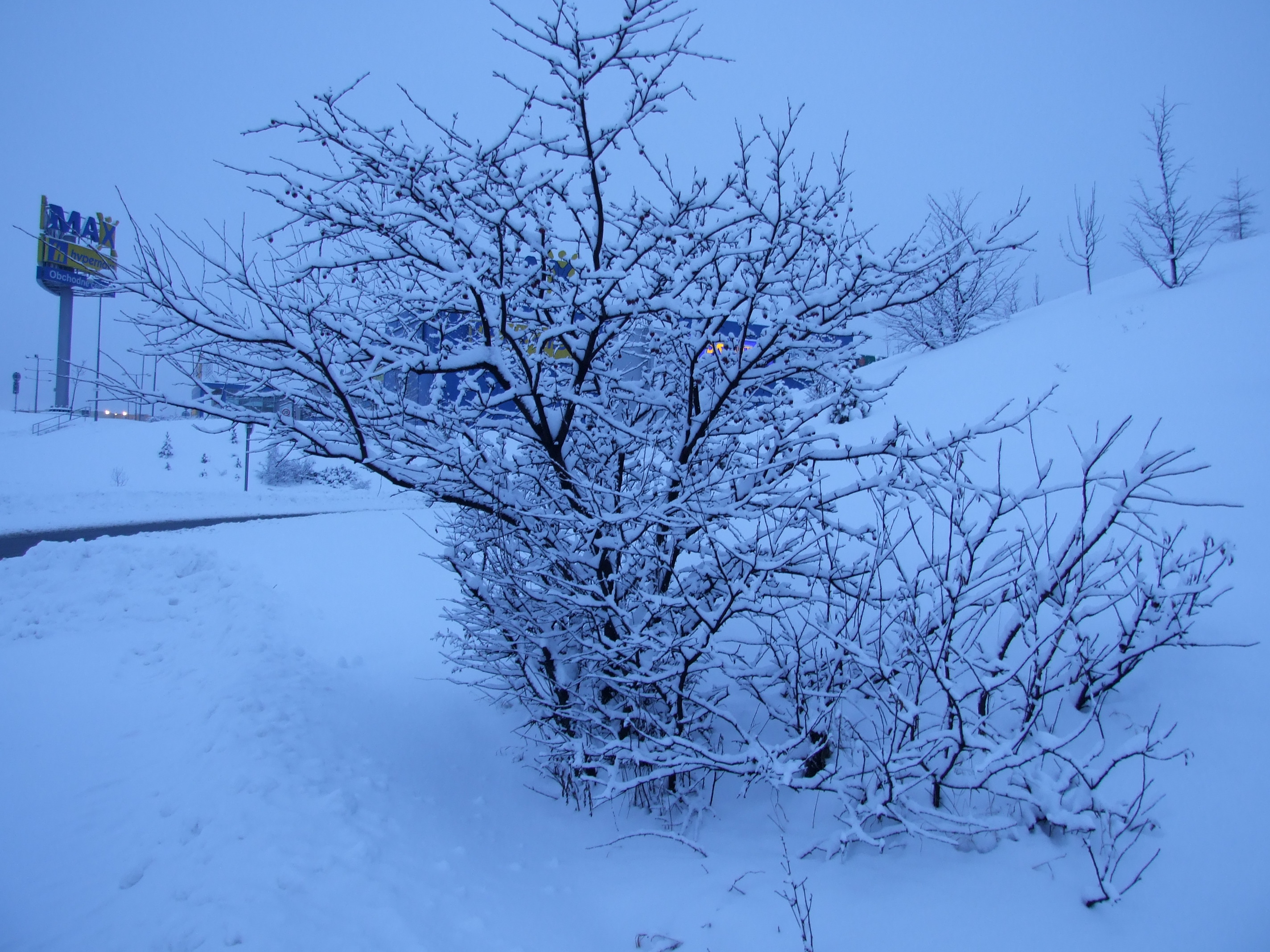 Zima  Poprad 2013_022