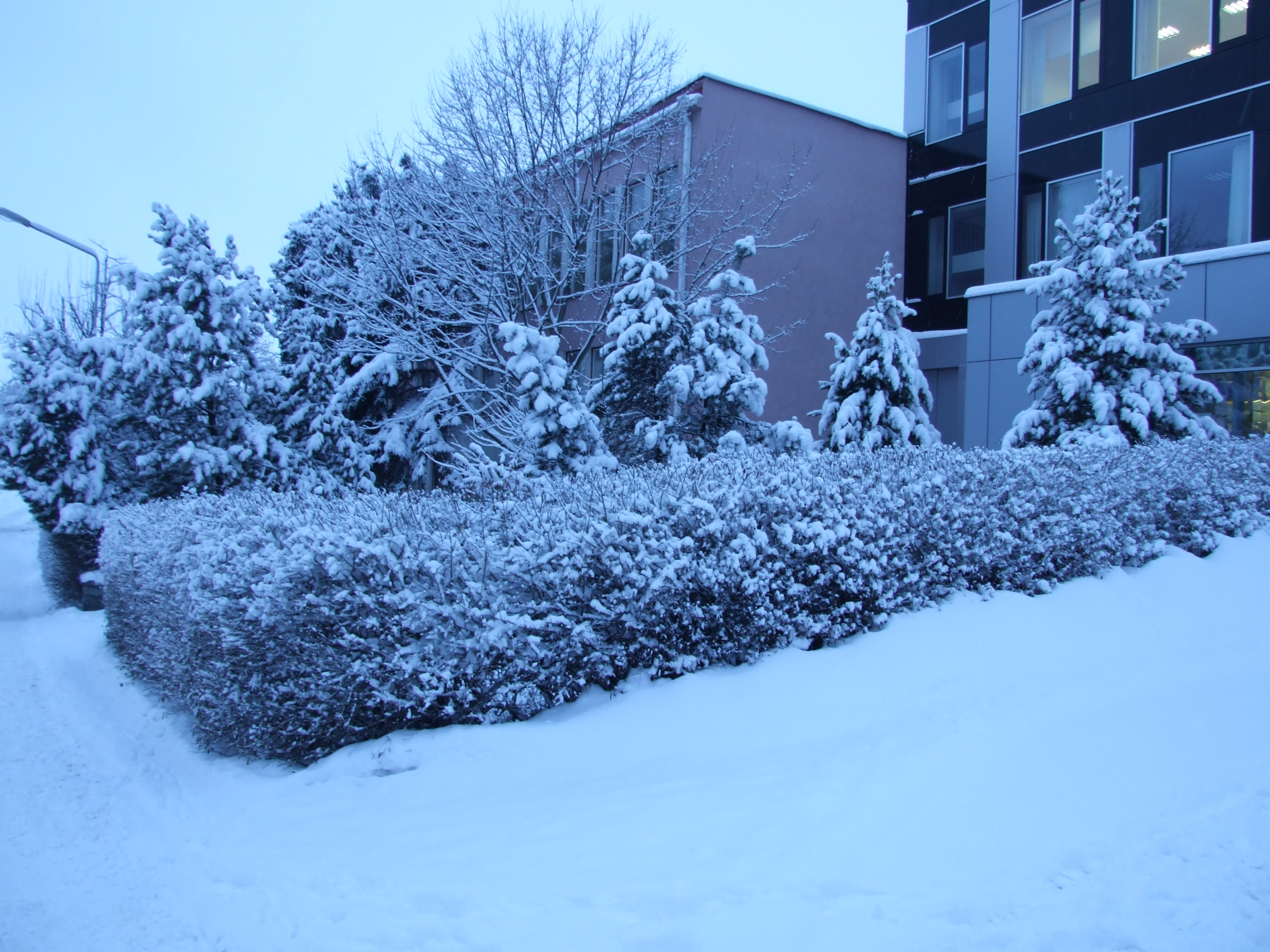 Zima  Poprad 2013_050